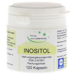 INOSITOL VEGI-Kapseln (PZN 2167951)