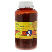 HAGEBUTTEN PULVER Kapseln (PZN 2888225)