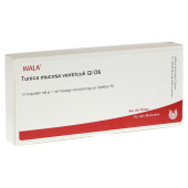 TUNICA mucosa ventriculi GL D 6 Ampullen (PZN 3788069)