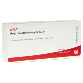 REGIO substantiae nigrae GL D 5 Ampullen (PZN 4623028)