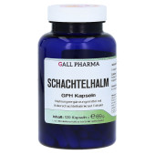 SCHACHTELHALM KAPSELN (PZN 120626)