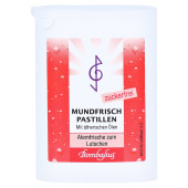 MUNDFRISCH Pastillen zuckerfrei (PZN 14232731)