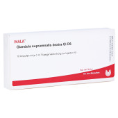 GLANDULA SUPRARENALES dextra GL D 6 Ampullen (PZN 2877196)