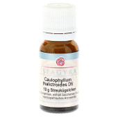 CAULOPHYLLUM THALICTROIDES D 6 Globuli (PZN 11555238)