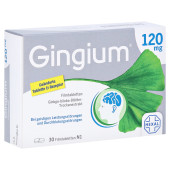 Gingium 120mg (PZN 14171165)