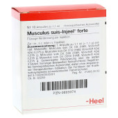 MUSCULUS SUIS Injeel forte Ampullen (PZN 693374)