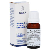 BRYOPHYLLUM MERCURIO cultum Rh D 3 Dilution (PZN 1630312)