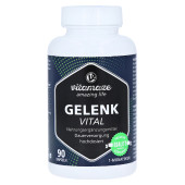 GELENK VITAL Kapseln (PZN 14061376)