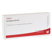 CEREBELLUM GL D 12 Ampullen (PZN 3359782)