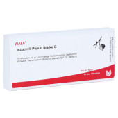 ISCUCIN populi St√§rke G Ampullen (PZN 4429409)