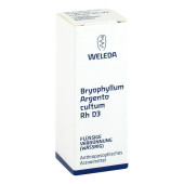 BRYOPHYLLUM ARGENTO cultum Rh D 3 Dilution (PZN 1629711)