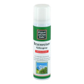 ALLG√ДUER LATSCHENK. Besenreiser K√§ltespray (PZN 8867595)