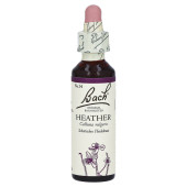 BACHBL√ЬTEN Heather Tropfen (PZN 59890)