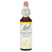 Bachbl√Љten Scleranthus Tropfen (PZN 146809)