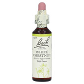 Bachbl√Љten White Chestnut Tropfen (PZN 170104)