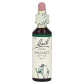 Bachbl√Љten Walnut Tropfen (PZN 164919)