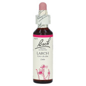Bachbl√Љten Larch Tropfen (PZN 64595)