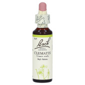 BACHBL√ЬTEN Clematis Tropfen (PZN 53249)