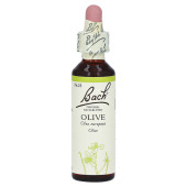 Bachbl√Љten Olive Tropfen (PZN 125919)