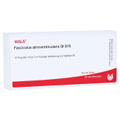 FASCICULUS atrioventricularis GL D 15 Ampullen (PZN 3357599)