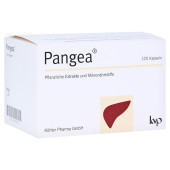 PANGEA Kapseln (PZN 16007518)