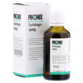 PH√ЦNIX SOLIDAGO spag.Mischung (PZN 4223725)