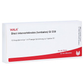 DISCI intervertebrales lumbales GL D 30 Ampullen (PZN 3357375)