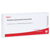 GLANDULA SUPRARENALIS cortex GL D 4 Ampullen (PZN 2829903)