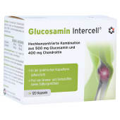 GLUCOSAMIN INTERCELL Kapseln (PZN 9627574)