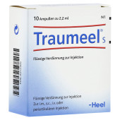 TRAUMEEL S Ampullen (PZN 4312305)