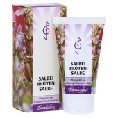 SALBEIBL√ЬTEN-Salbe (PZN 4590524)
