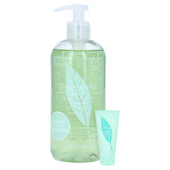 Elizabeth Arden GREEN TEA Energizing Bath & Shower Gel + gratis Elizabeth Arden GREEN TEA Handcreme 30 ml (PZN 8000562)