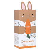 WELEDA Frühlingsset Sanddorn 2021 50+200ml (PZN 16802374)