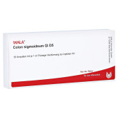 COLON SIGMOIDEUM GL D 5 Ampullen (PZN 2913377)
