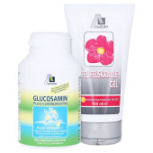 Avitale Glucosamin 500 mg + Chondroitin 400 mg + gratis Teufelskrallen Gel (PZN 4471104)