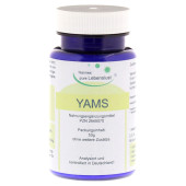 YAMSWURZEL PULVER (PZN 2649070)