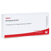 PERIOSTEUM GL D 12 Ampullen (PZN 2831768)