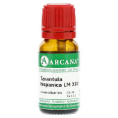 TARANTULA HISPANICA LM 30 Dilution (PZN 10407961)