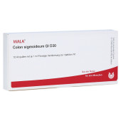 COLON SIGMOIDEUM GL D 30 Ampullen (PZN 2913526)