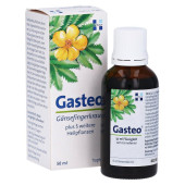 GASTEO Tropfen zum Einnehmen (PZN 10738445)