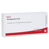BINDEGEWEBE GL D 4 Ampullen (PZN 2831366)