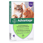 ADVANTAGE 80 mg Lösung große Katzen/Zierkaninchen (PZN 9670104)
