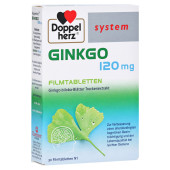 Doppelherz Ginkgo 120mg system (PZN 10963231)