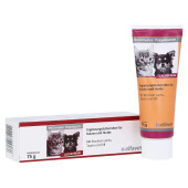 RECONVALES Päppelpaste f.Hunde/Katzen (PZN 11714435)