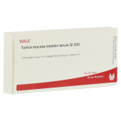 TUNICA mucosa intestini tenuis GL D 30 Ampullen (PZN 3787667)