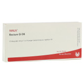 RECTUM GL D 6 Ampullen (PZN 2956079)
