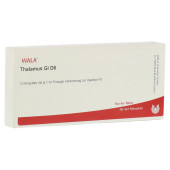 THALAMUS GL D 6 Ampullen (PZN 3659260)