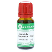 TARANTULA HISPANICA LM 6 Dilution (PZN 10407903)