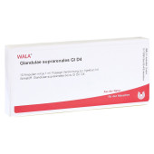 GLANDULAE SUPRARENALES GL D 4 Ampullen (PZN 2829406)