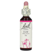 Bachblüten Elm Tropfen (PZN 53261)